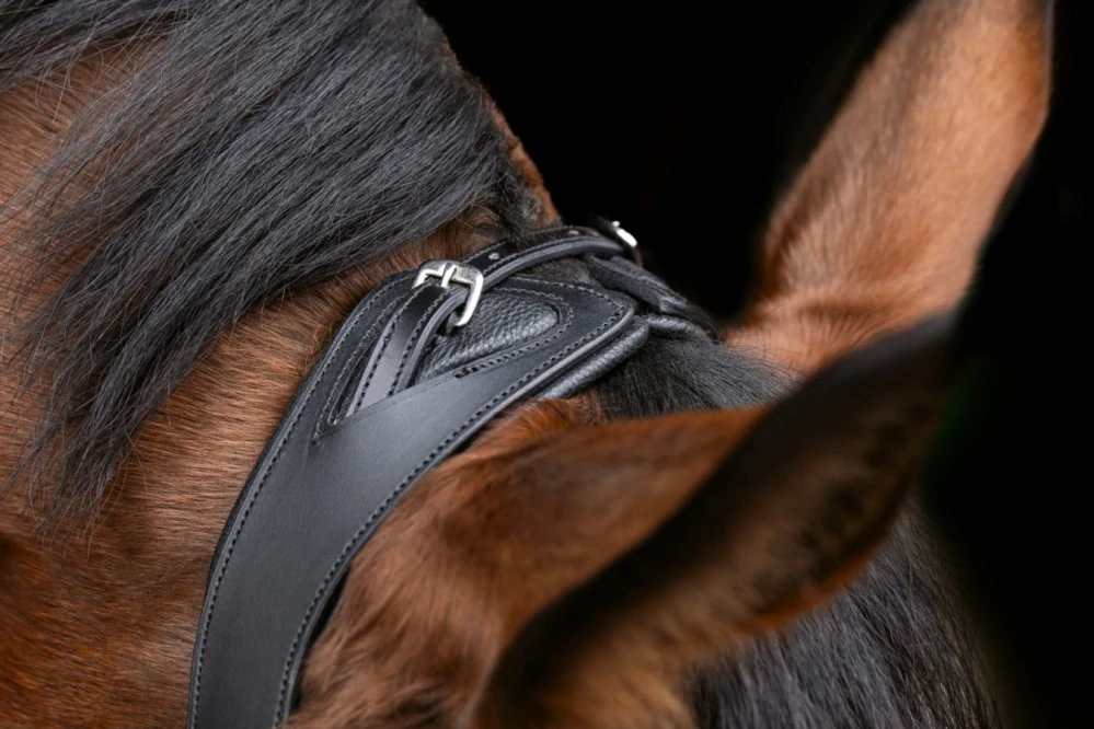 Kožená uzdečka Covalliero Anatomic, černá