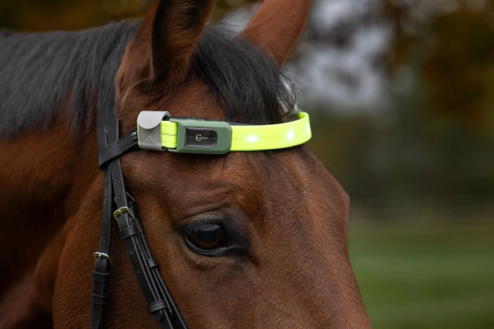 Čelenka na koně Covalliero LED, reflexní