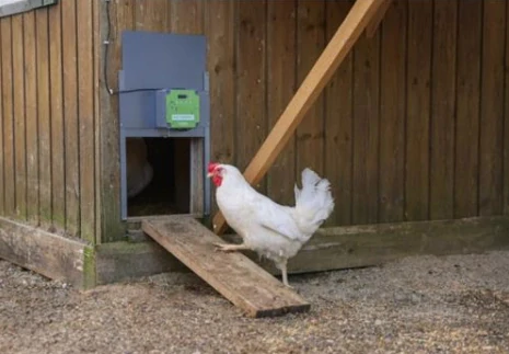 Automatické otevírání a zavírání kurníku Kerbl Door Easy s dvířky