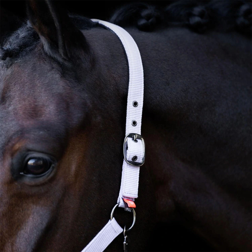 Ohlávka IRH Classic Sport, fialková