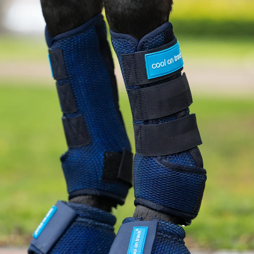Chladící kamaše pro koně Back on Track, modré