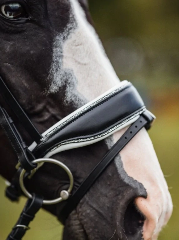 Kožená uzdečka Crystal Dressage