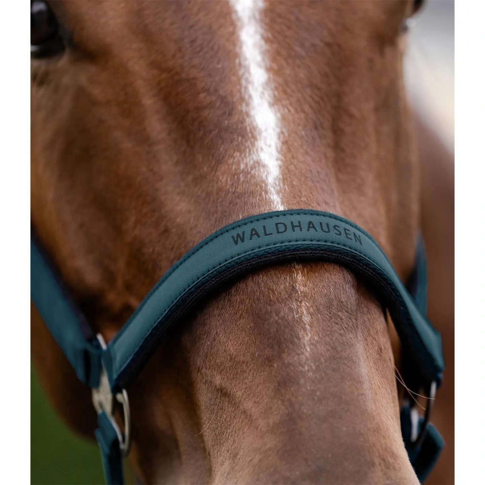 Ohlávka pro koně Waldhausen AW 2025/26 Athletic, petrolejová