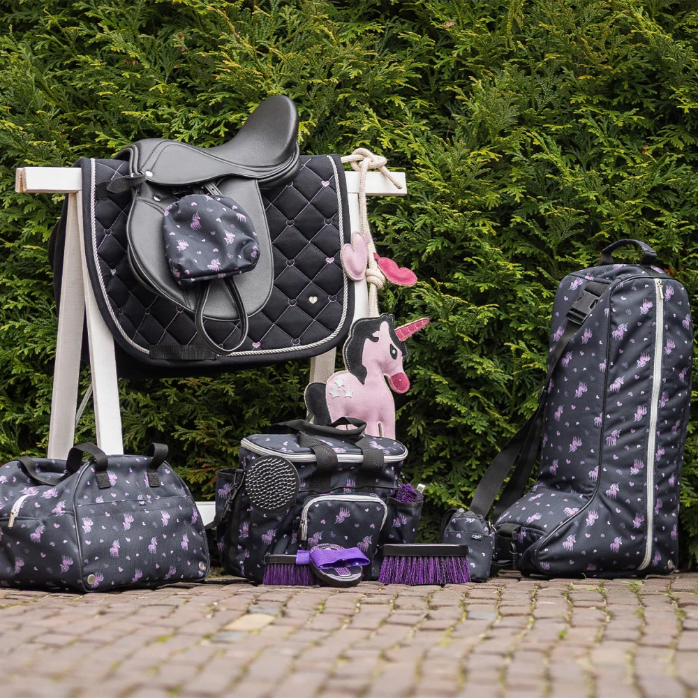 Taška na čištění QHP AW 25/26 Lize, černo-fialová