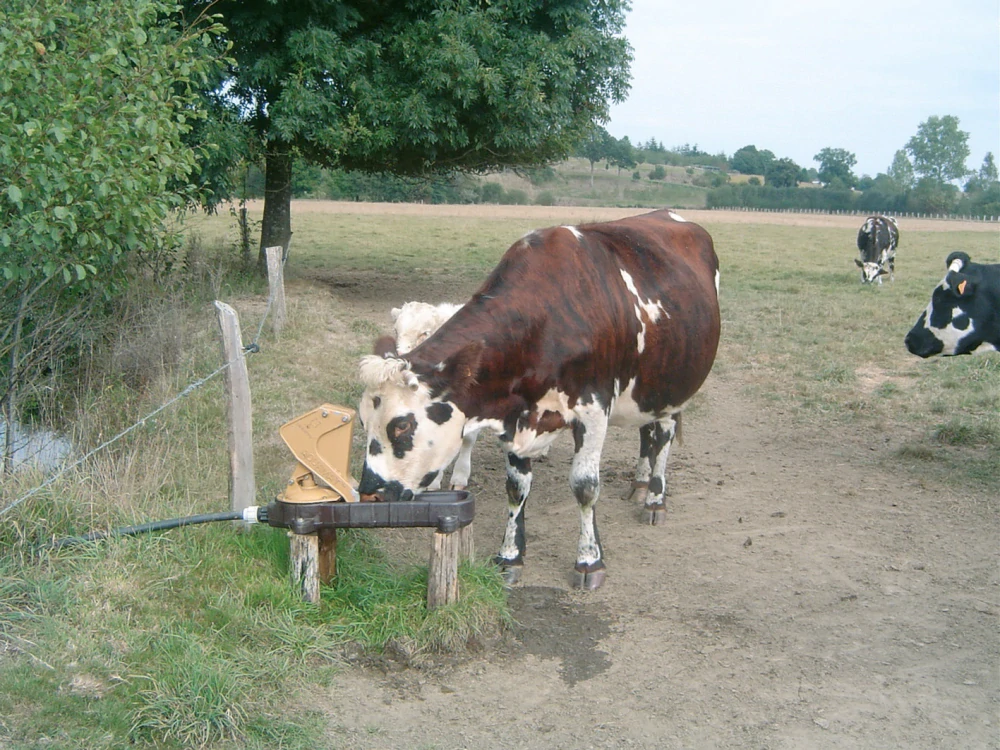 Napáječka membránová AQUAMAT II