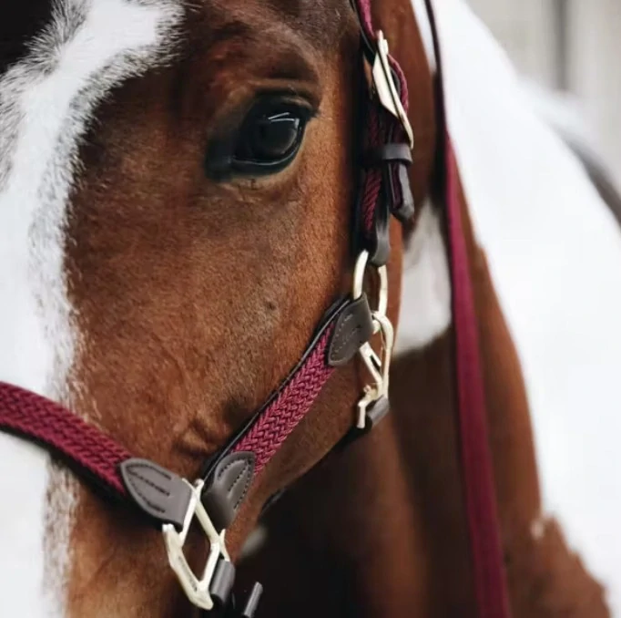 Ohlávka pro koně Kentucky Nylon - vínová, vel. Full