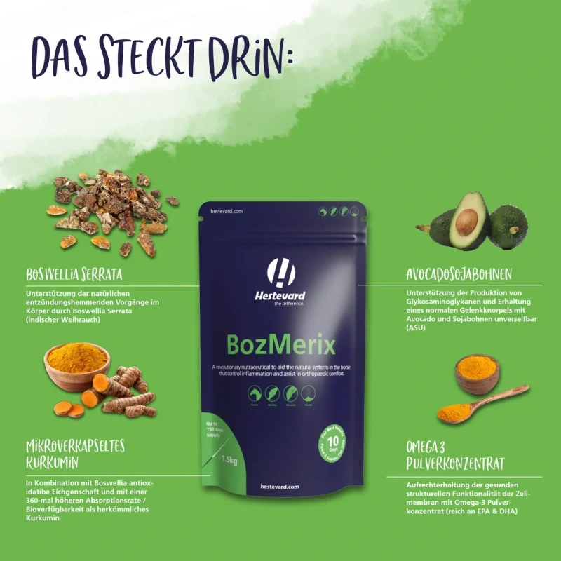 Přirozeně protizánětlivý Veterinary Bozmerix pro koně na akutní bolest, balení 20 sáčků po 10g