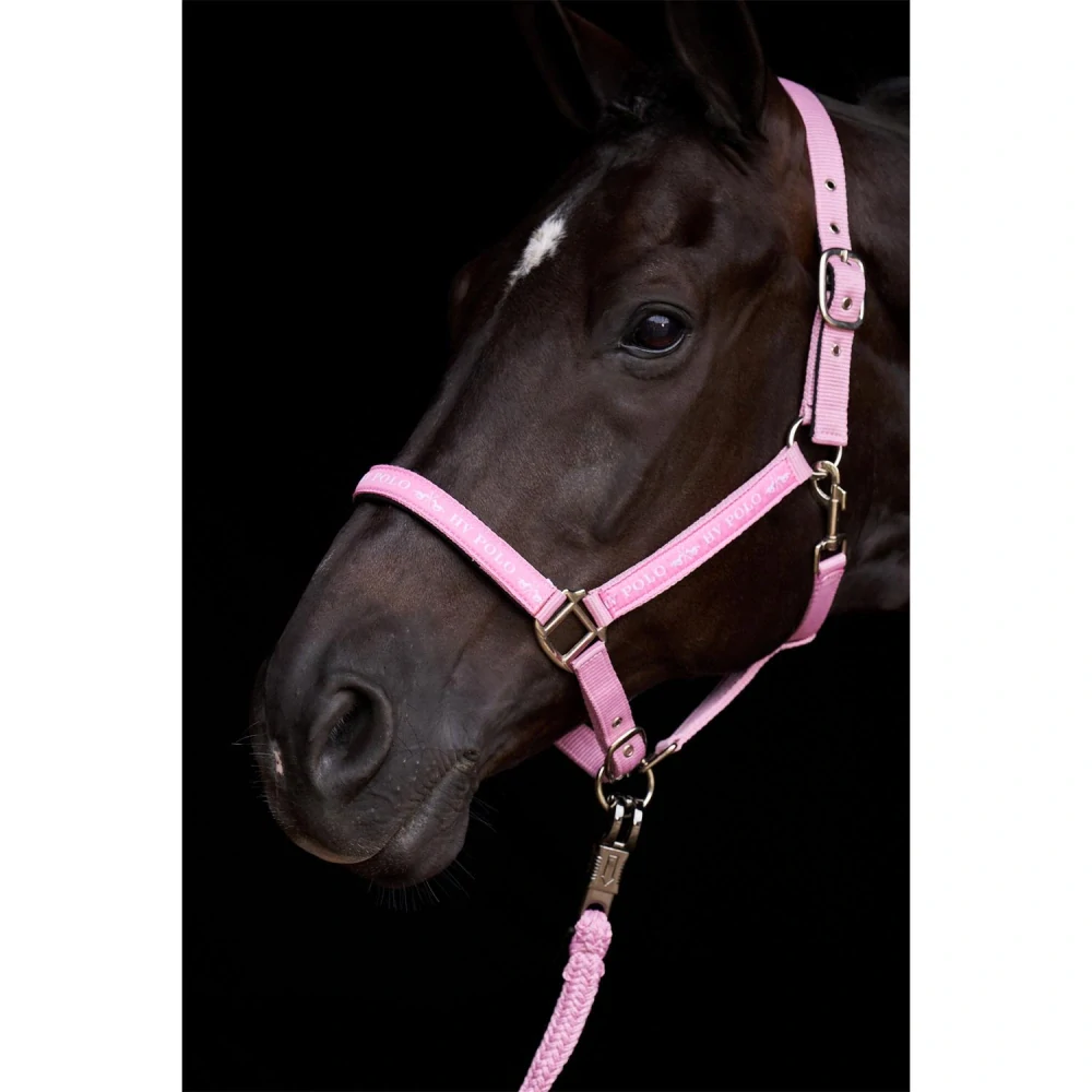 Nylonová ohlávka HVP Nena, SS 26, růžová