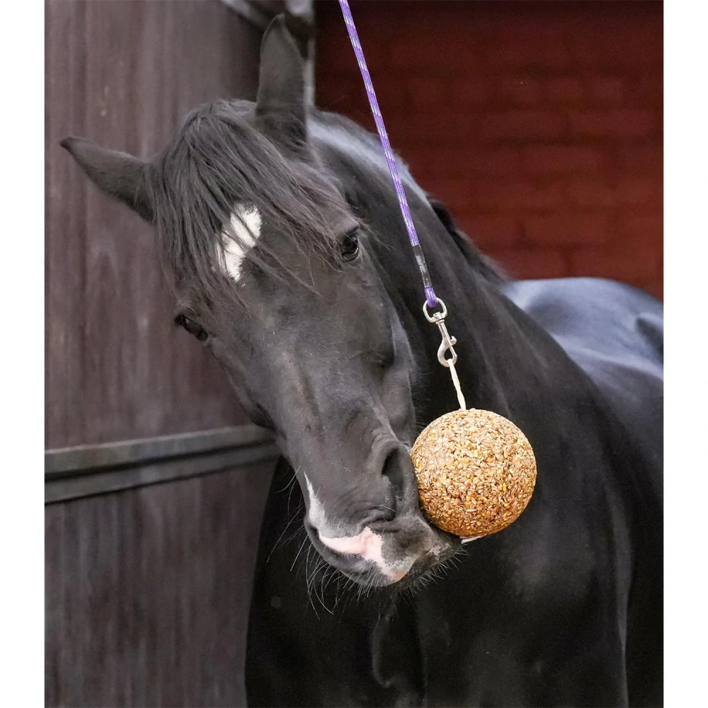 Pochoutka LIKIT Stall Ball, jablečná, 1,6 kg