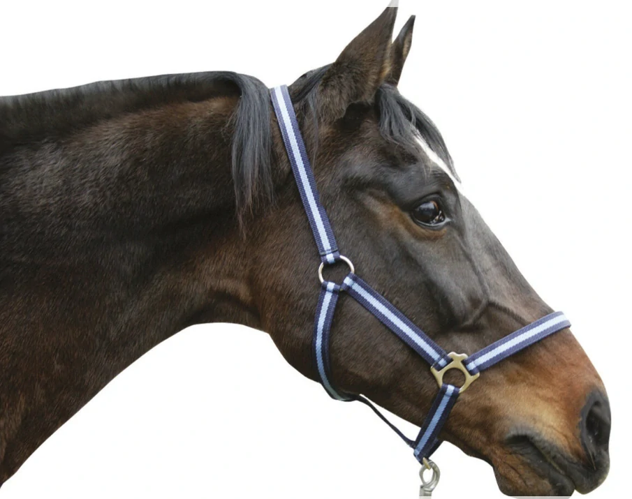 Nylonová ohlávka Hippo (více barev)