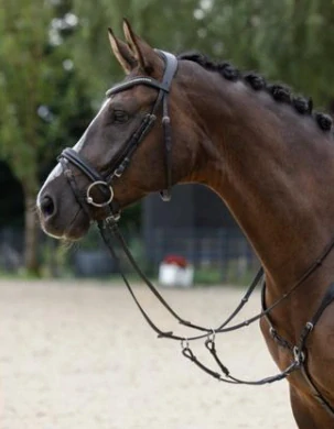 Kožená uzdečka Covalliero Clincher, černá