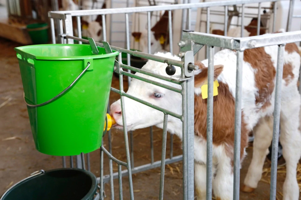 Kbelík pro telata s hygienickým ventilem 8 l, bez držáku