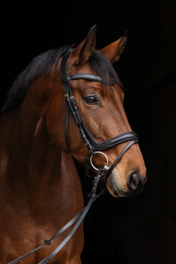 Kožená uzdečka Covalliero Anatomic, černá