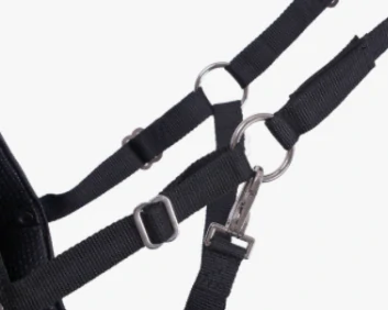 Ohlávka QHP včetně náhubku