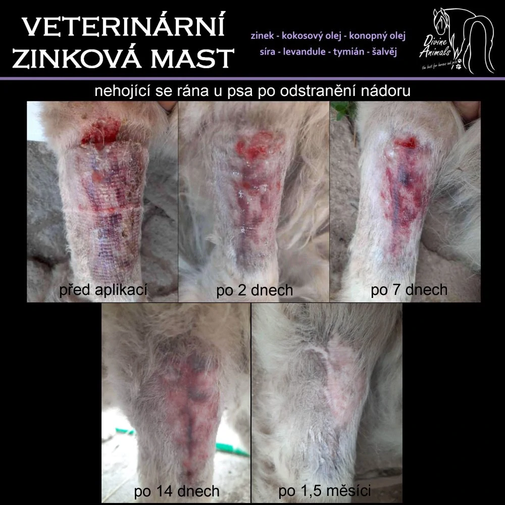 Divine Animals - Veterinární zinková mast 100 ml