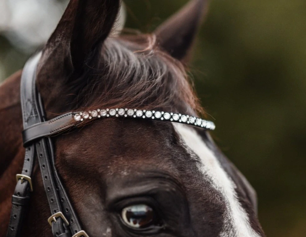 Kožená uzdečka Crystal Dressage