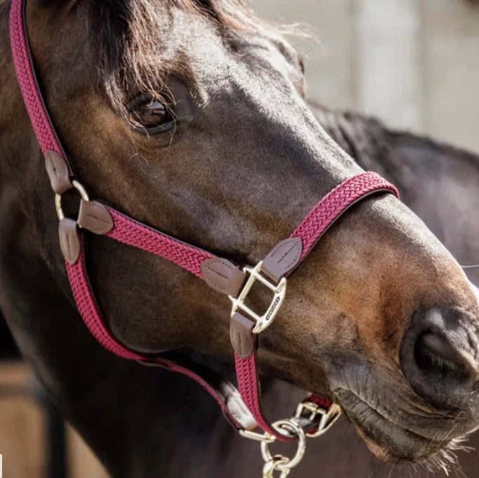 Ohlávka pro koně Kentucky Nylon - vínová, vel. Full