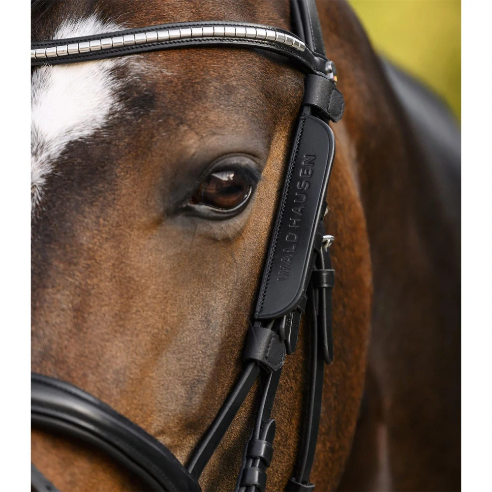 Kožený blinkers/klapky na uzdečku Waldhausen
