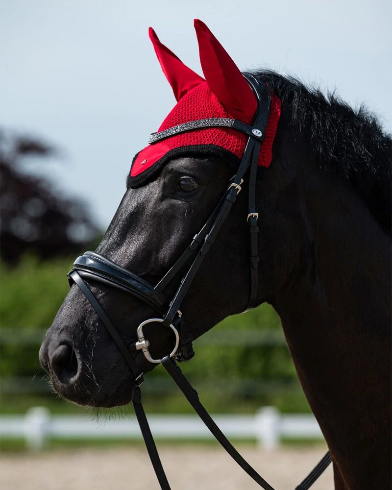 Kožená uzdečka QHP Lagos, SS 26, černá