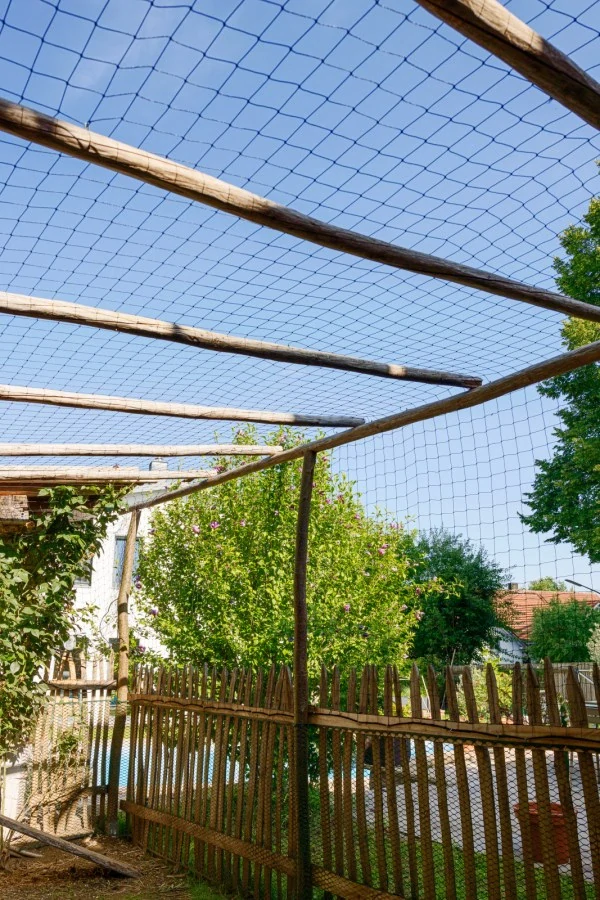 Krycí síť výběhu pro slepice, oko 3×3 cm - 5×10 m