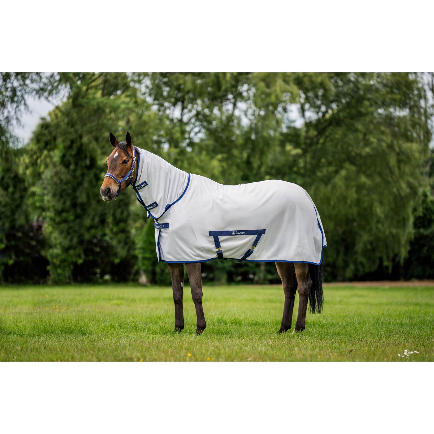 Síťovaná deka proti hmyzu s krkem Bucas Freedom, SS 26, stříbrná