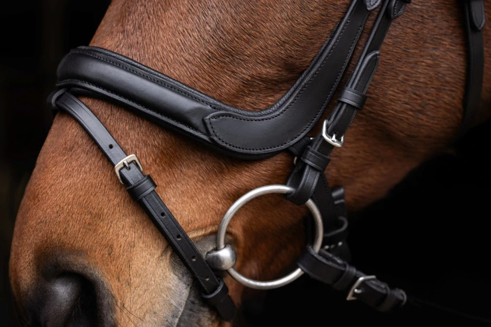 Kožená uzdečka Covalliero Anatomic, černá