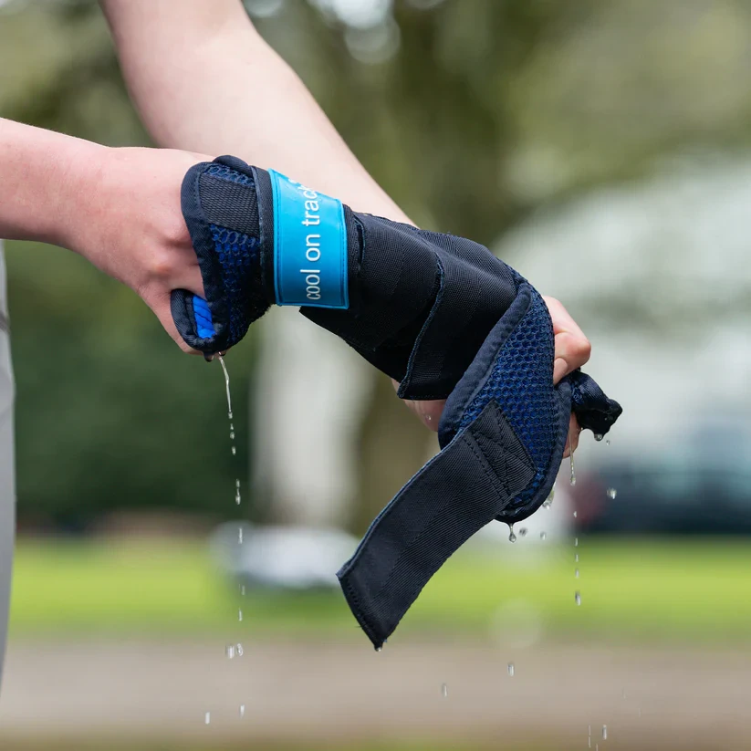 Chladící kamaše pro koně Back on Track, modré