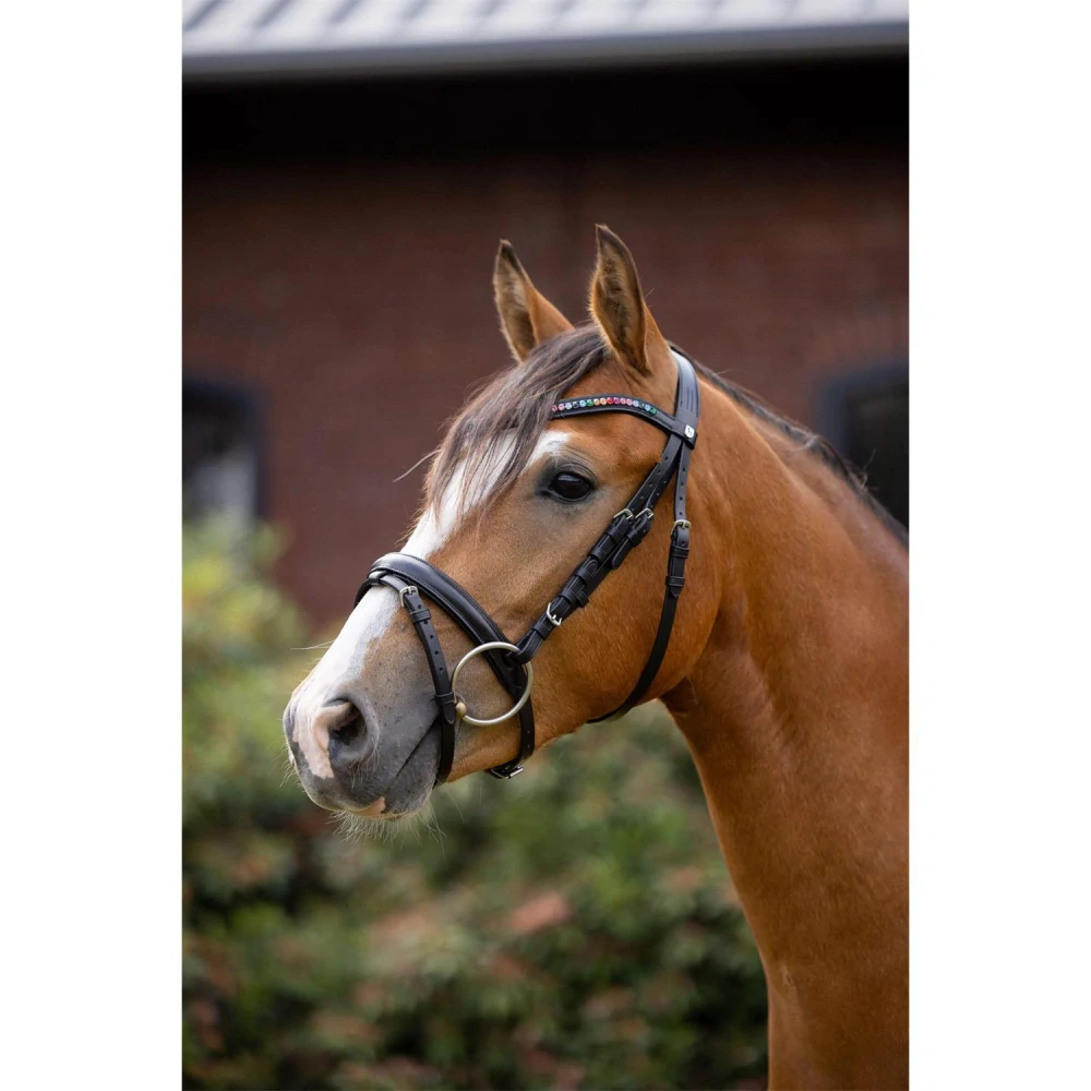 Kožená uzdečka Horze Rainbow Dash, černá