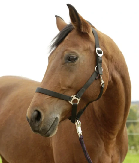 Nylonová ohlávka Hippo (více barev)