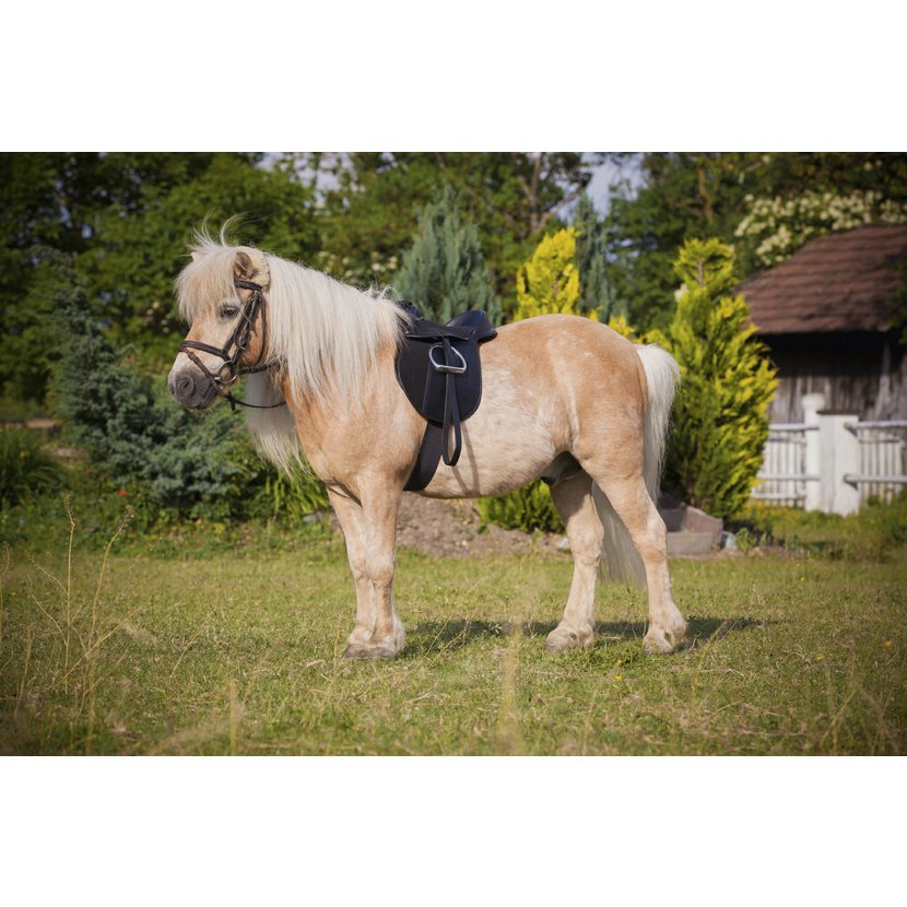 Sedlový set PONY Economy 15''