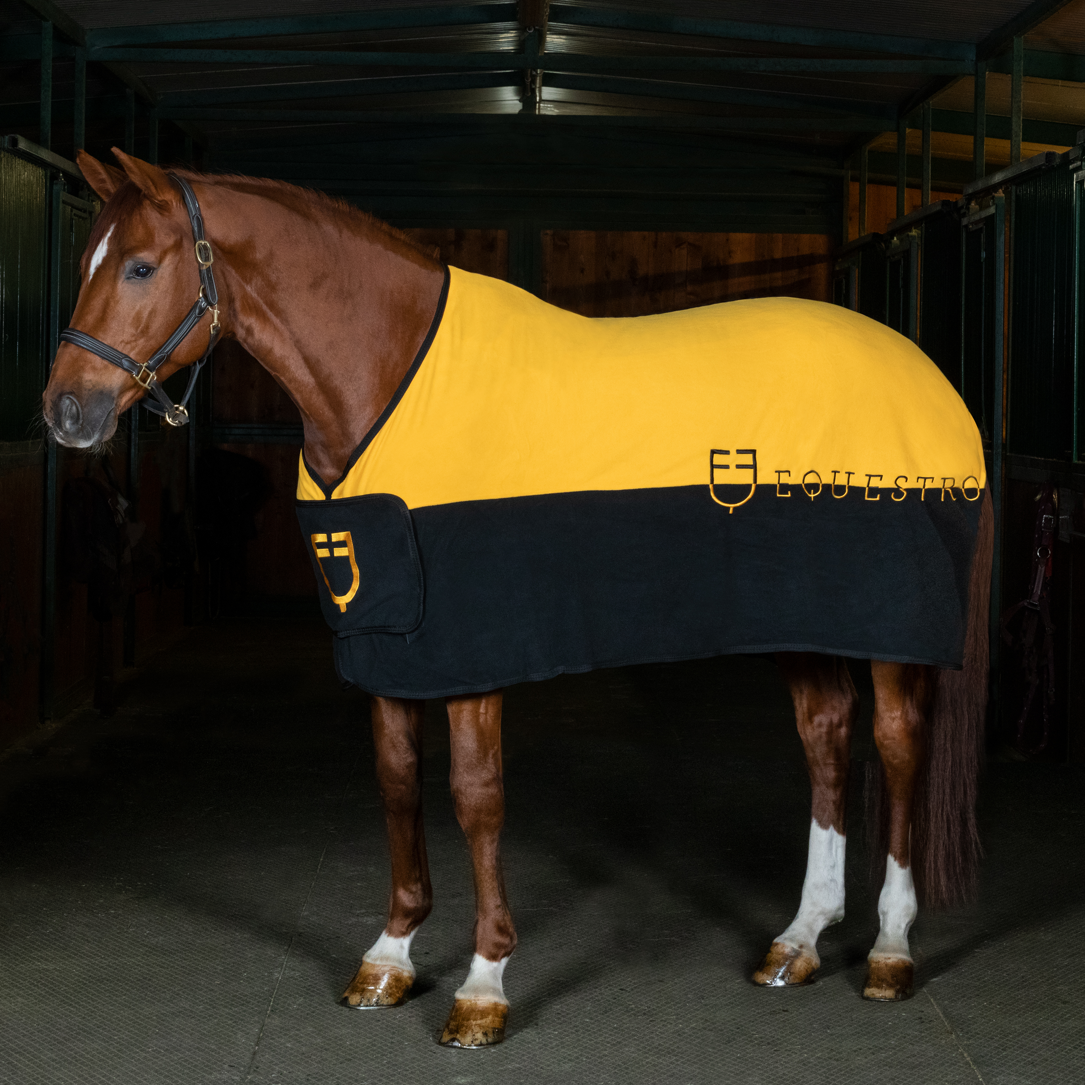 Deka odpocovací Munster EQUESTRO, black/yellow
