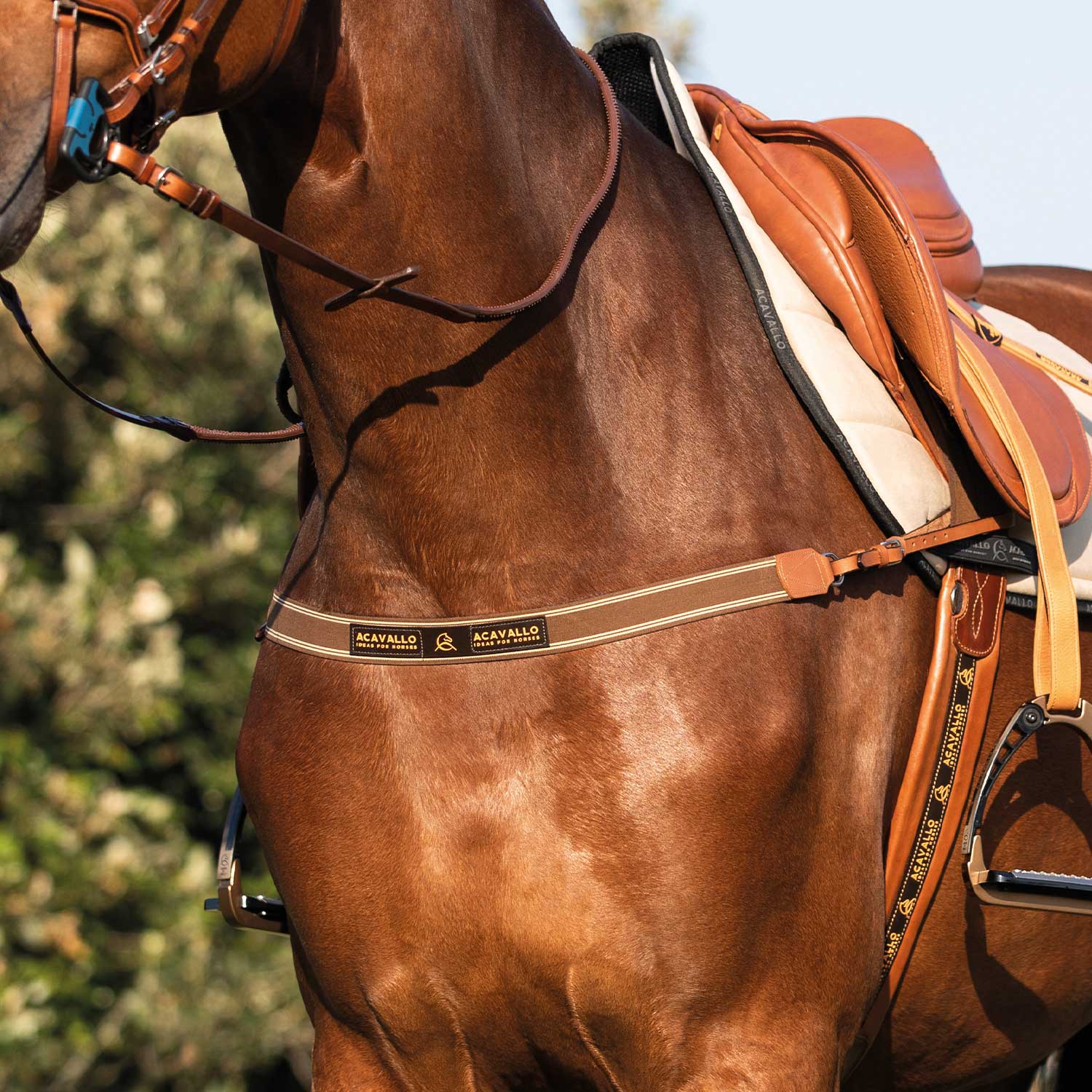 Poprsník elastický Acavallo černý