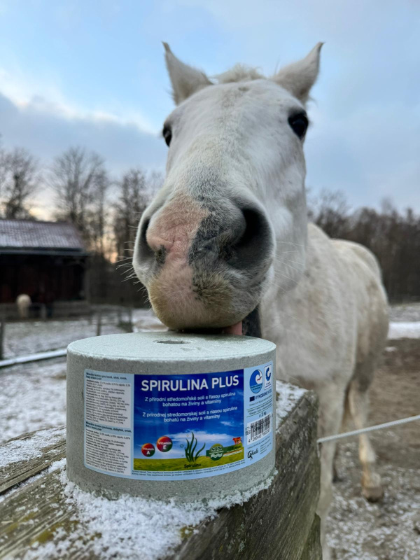 Spirulina plus - minerální liz z mořské soli se spirulinou bohatou na vitamíny a esenciální živiny