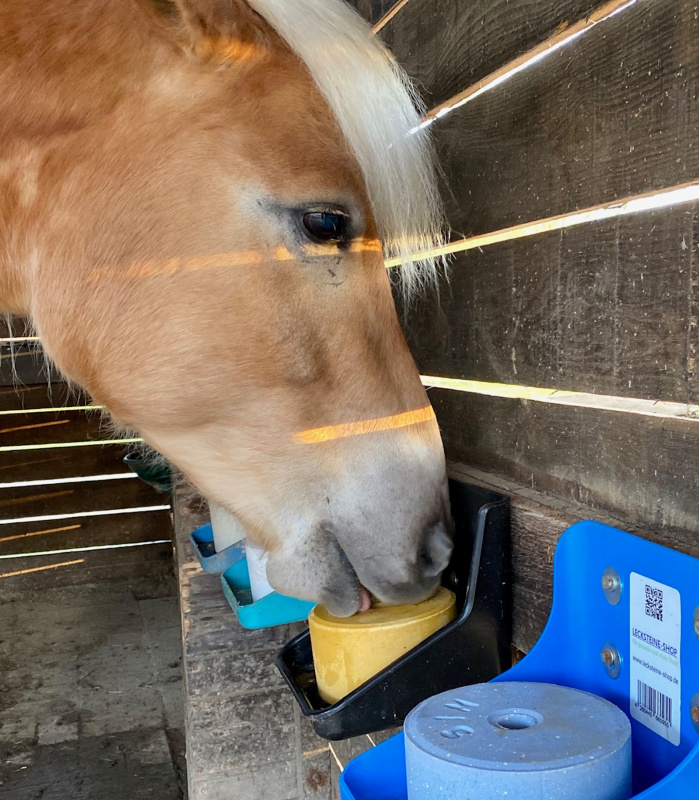 Solný bar PASTVA (Balení 12kg)