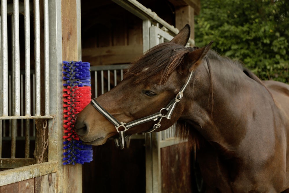 Drbadlo pro skot, koně a kozy Kerbl