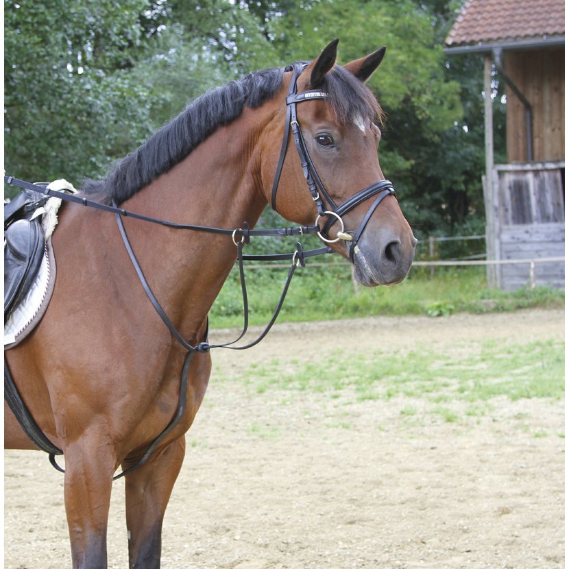 Kožený martingal Harrys Horse, černý