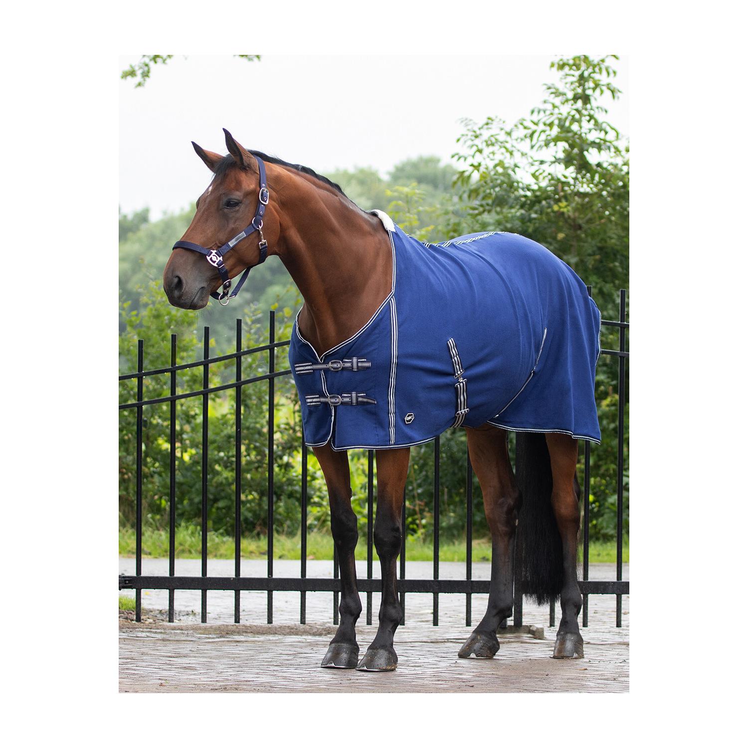 Odpocovací deka QHP Basic, modrá