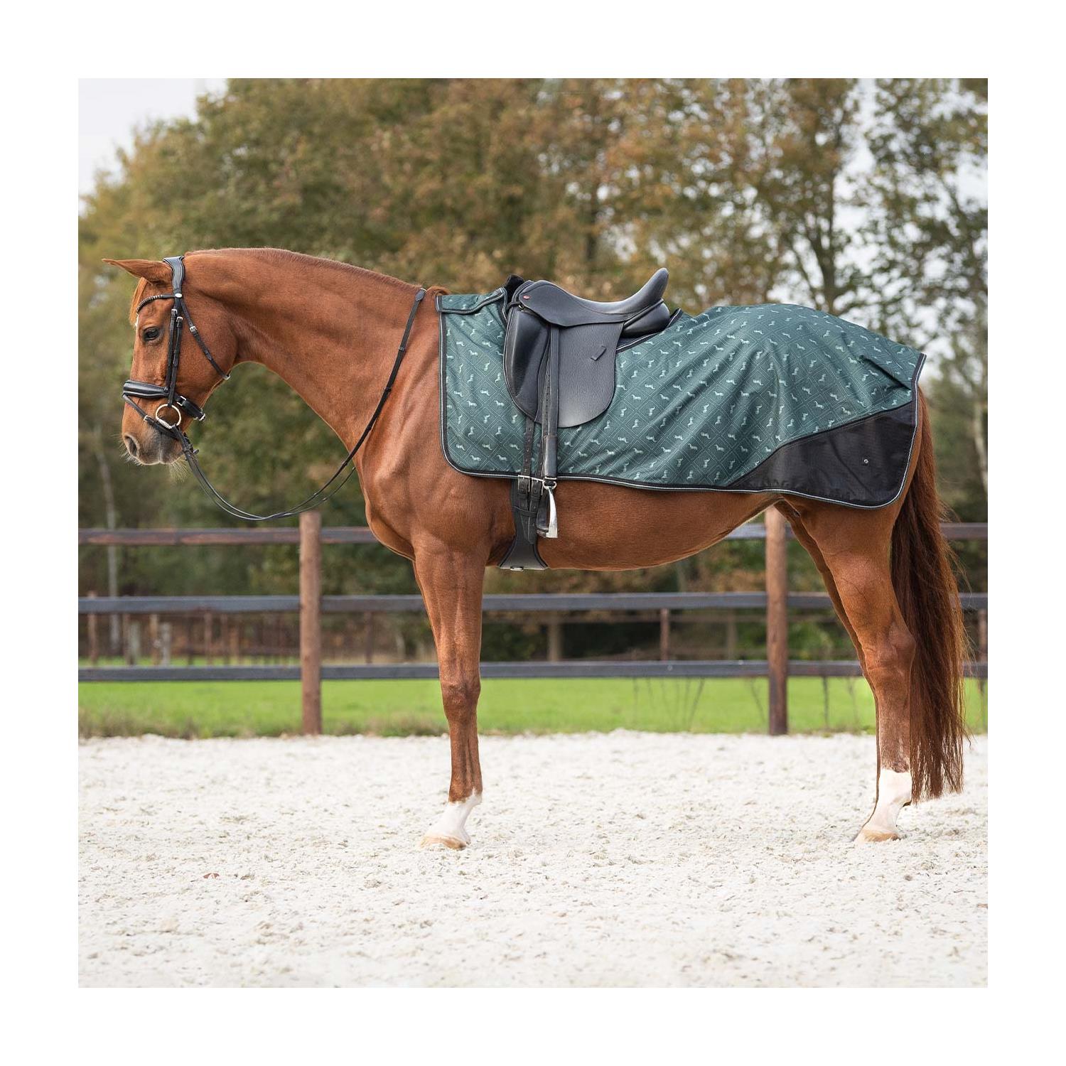 Bederní deka nepromokavá QHP, fialová