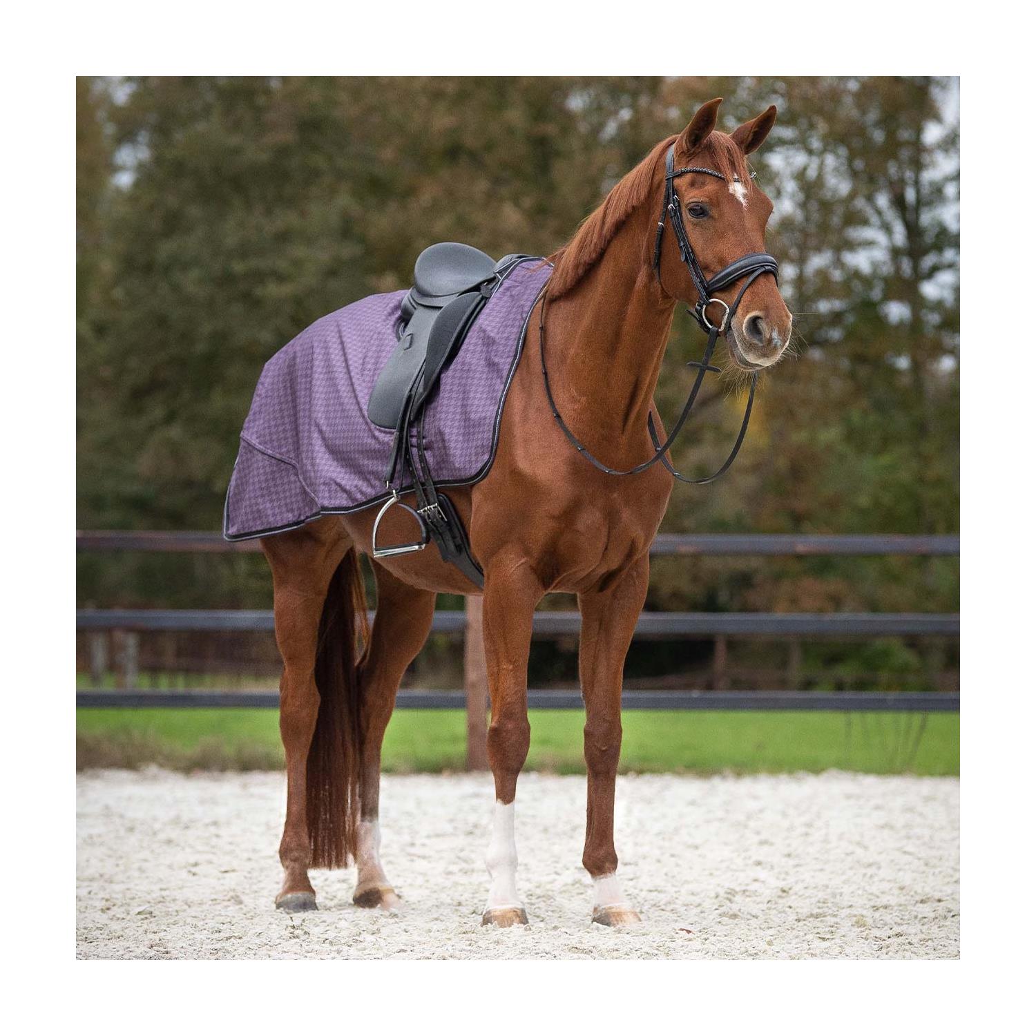 Bederní deka nepromokavá QHP, fialová