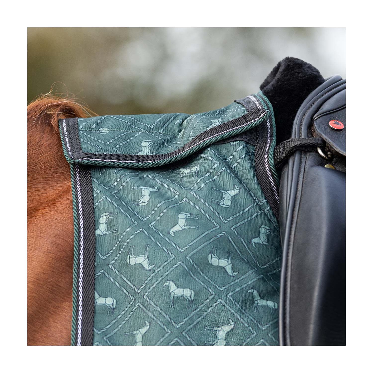 Bederní deka nepromokavá QHP, fialová