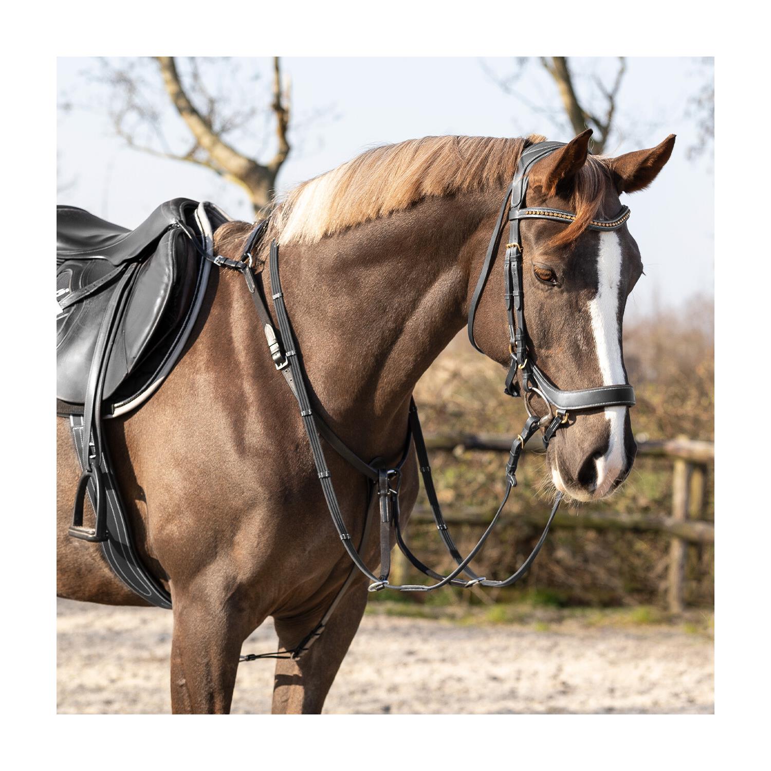 Poprsník QHP Basic pro, černý