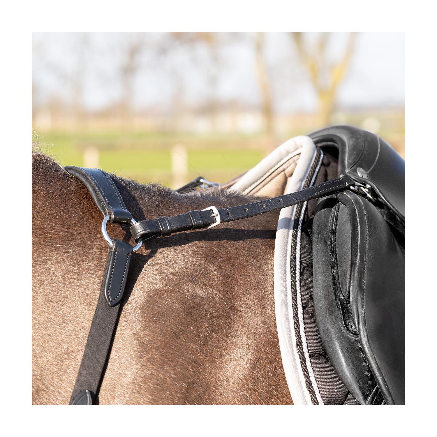 Poprsník QHP Basic pro, černý