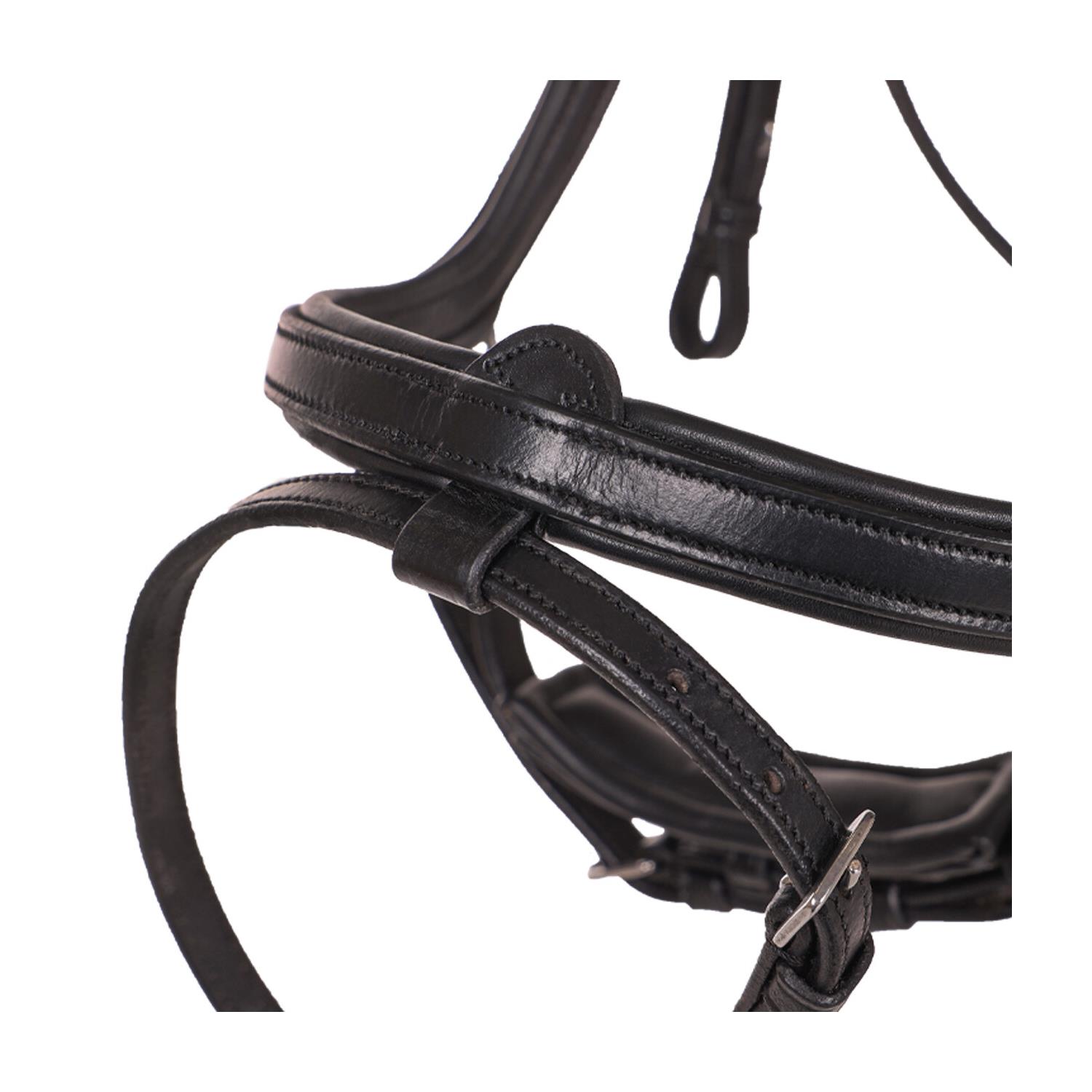 Kožená uzdečka QHP Salerno, černá
