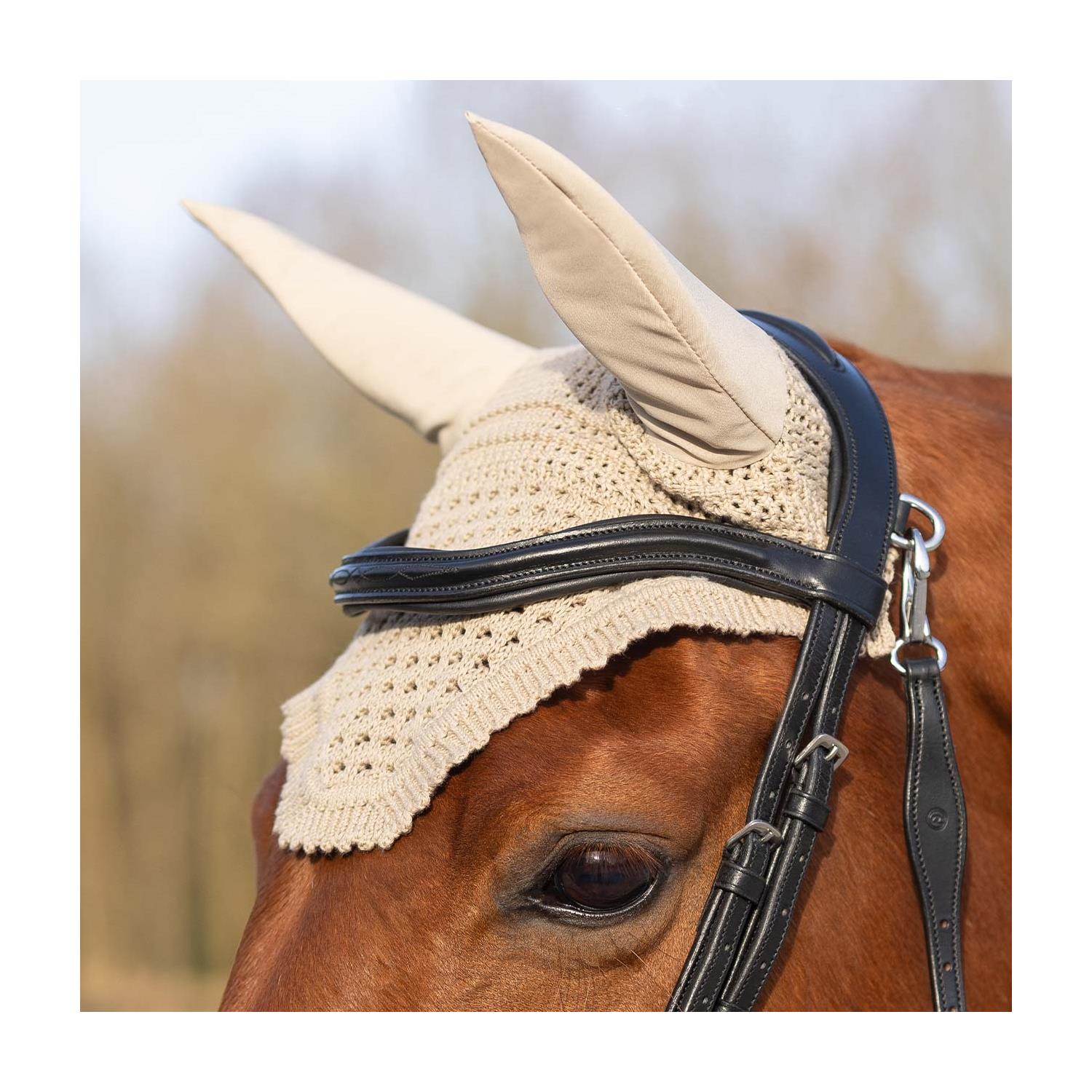 Kožená uzdečka QHP Salerno, černá