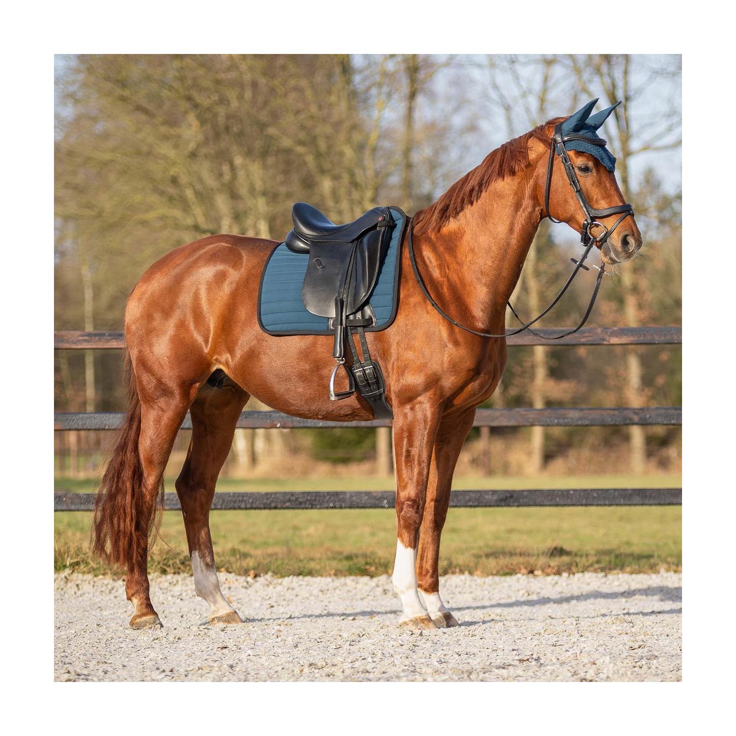 Kožená uzdečka QHP Salerno, černá