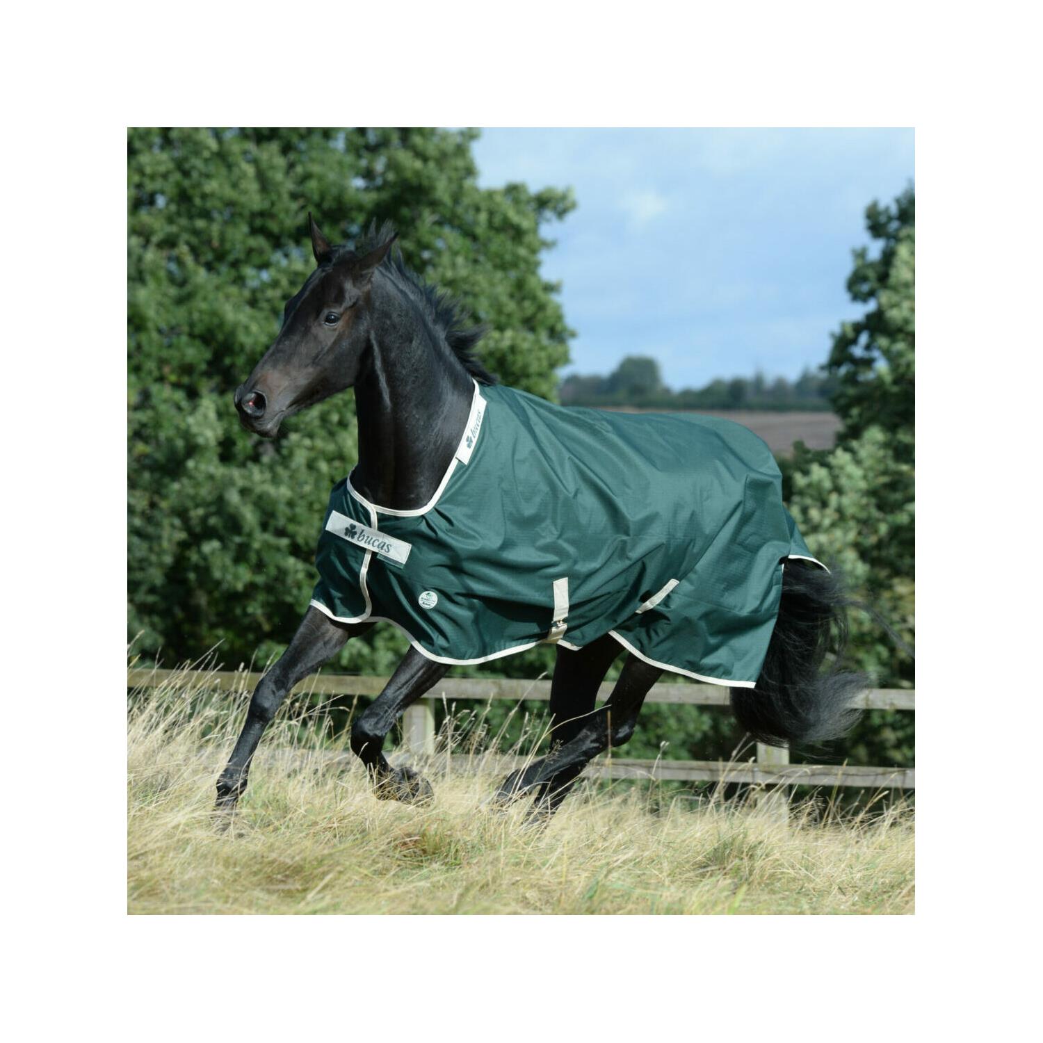 Nepromokavá deka Bucas Greenline, 100g, zelená