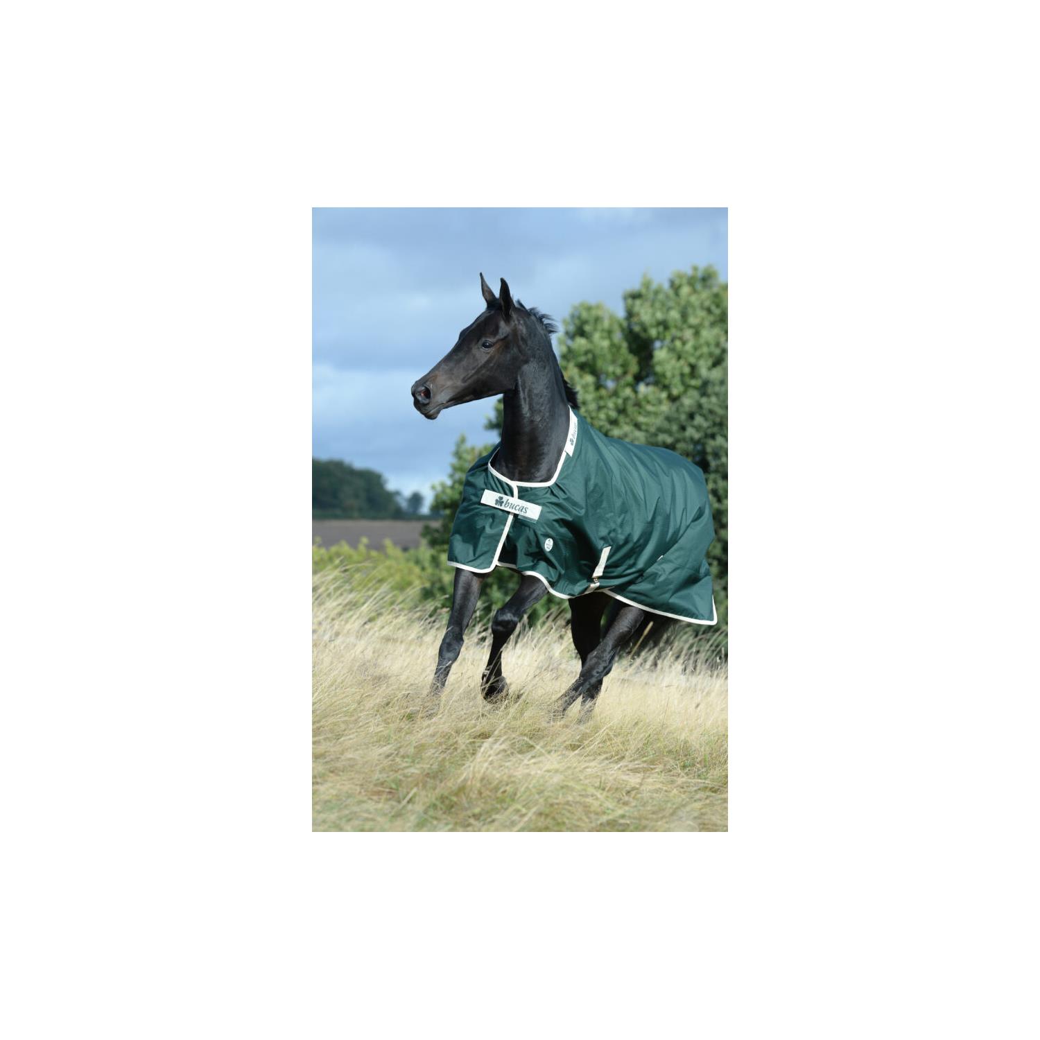 Nepromokavá deka Bucas Greenline, 100g, zelená