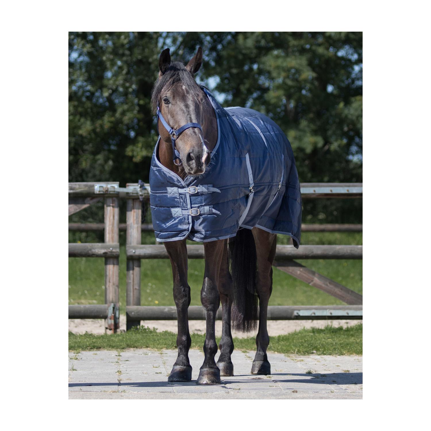 Stájová deka QHP Start 150g, modrá