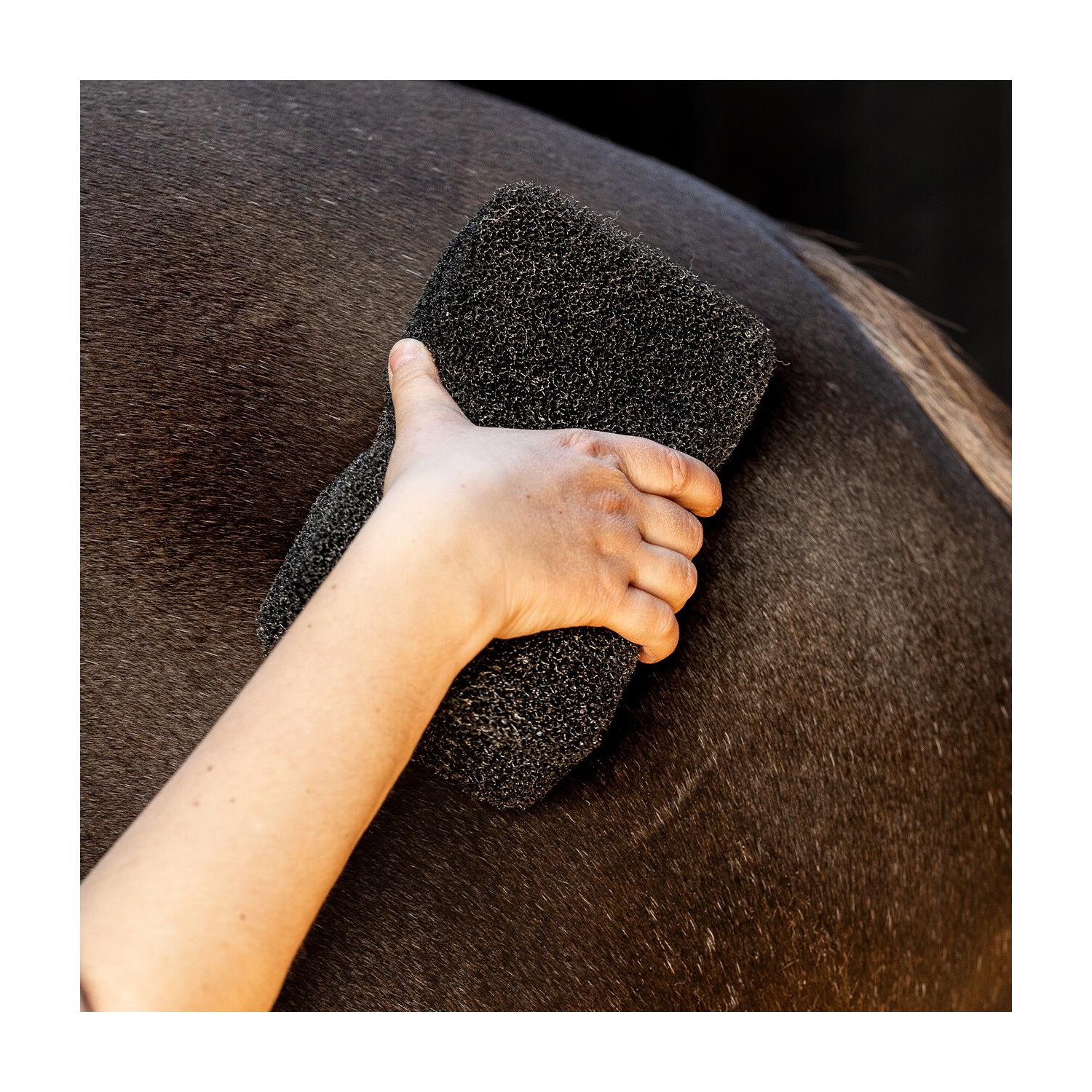 Čistící houba na koně QHP Super Shiner, černá