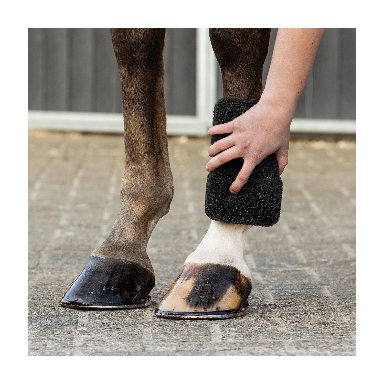 Čistící houba na koně QHP Super Shiner, černá